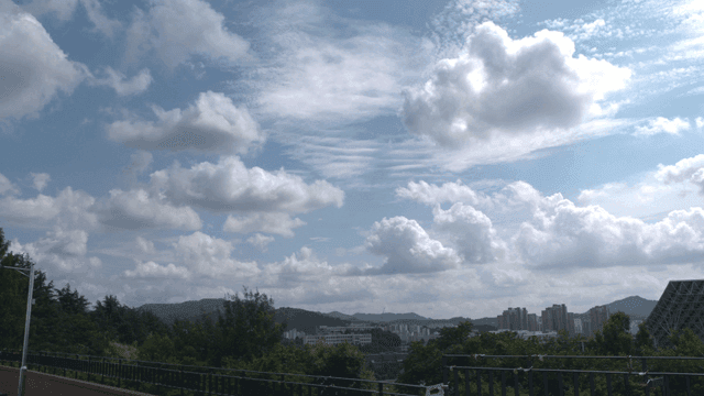 나무와 도시 풍경 위의 구름 낀 하늘