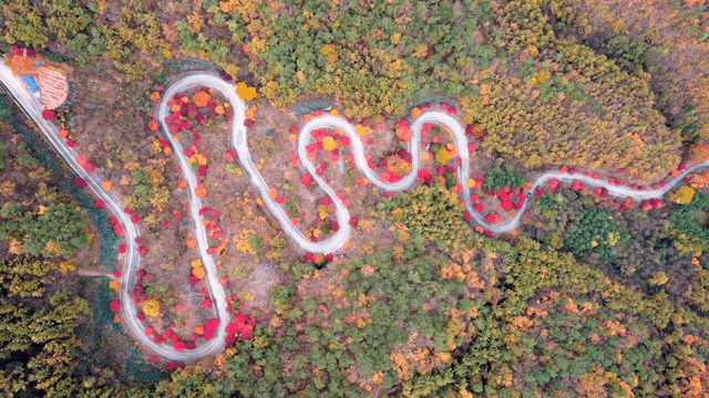 Winding roads with autumn foliage