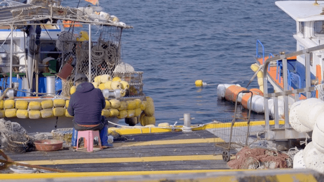 A fisherman working on a boat at the dock
