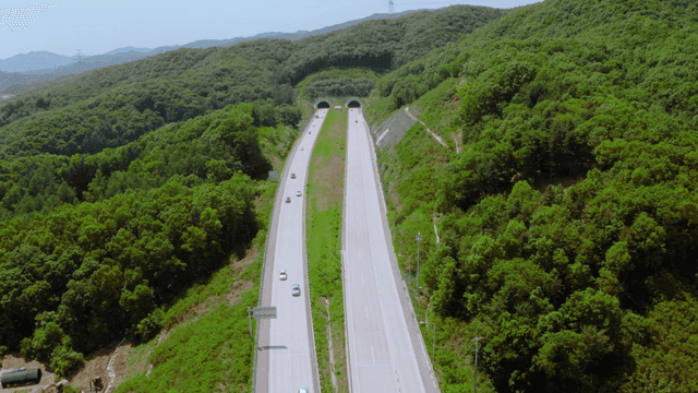 A highway cutting through lush green forests