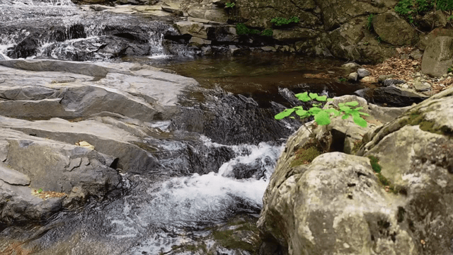 Small stream flowing over rocks