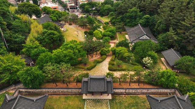 푸른 나무로 둘러싸인 한국 전통 가옥