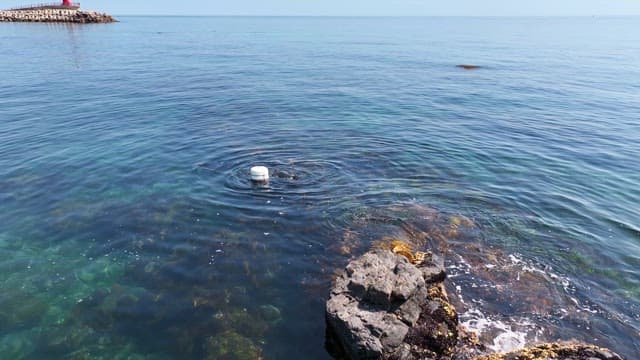 맑은 바다를 탐험하는 잠수부