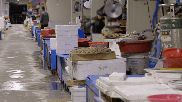 Empty dawn fish market stalls