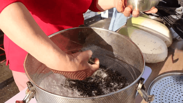 소금 위에 녹차잎을 올리는 모습