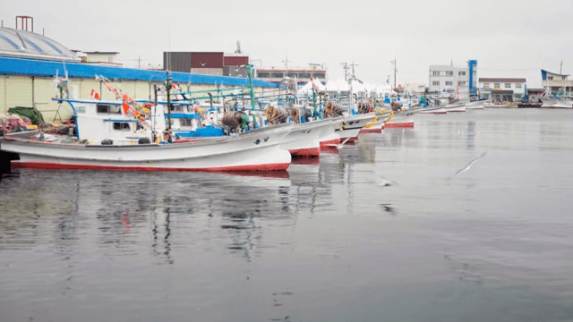 Fishing boats and seagulls anchored in a quiet harbor