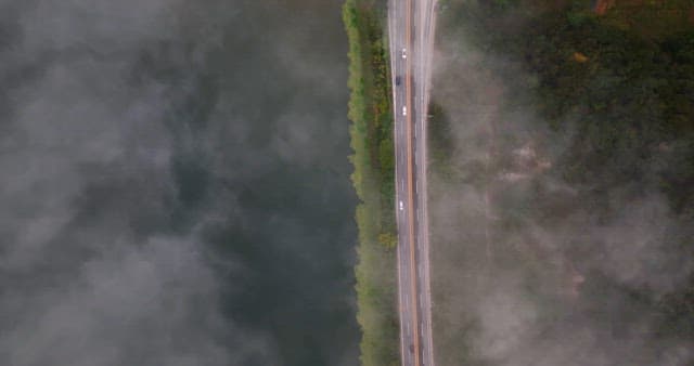 강과 숲을 따라 안개 낀 도로