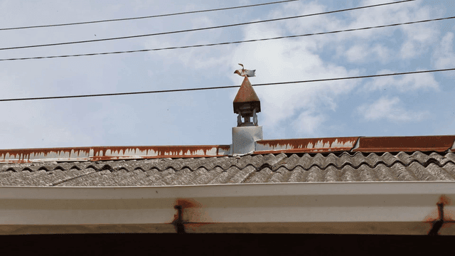 Rooftop with weather vane and power lines
