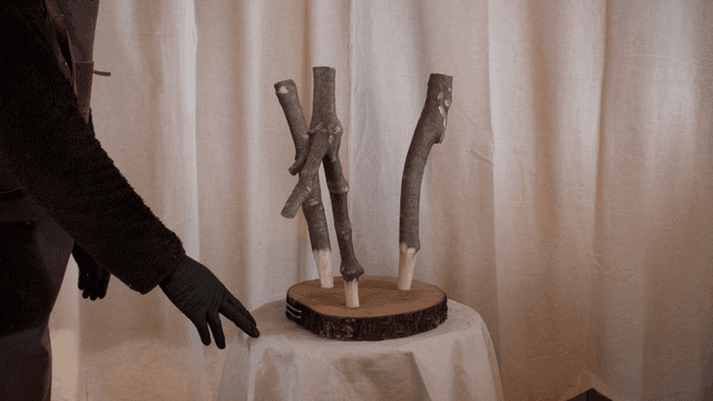 Wooden chair with uniquely inverted branch legs