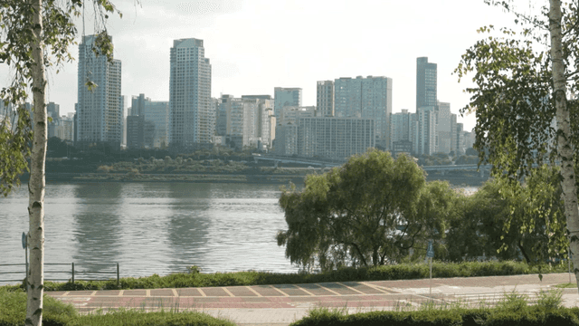 고요한 한강 공원 너머 서울 도시 스카이라인