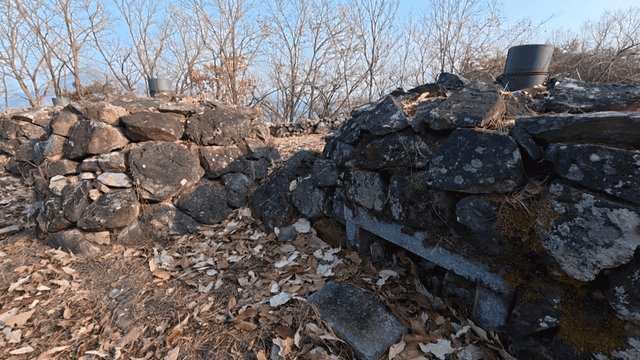 Pile of stones in forest