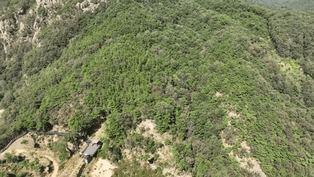 출렁다리가 있는 푸른 산