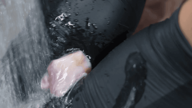 깨끗하게 세척되는 복어살