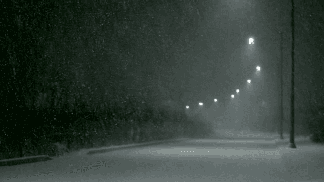 Snowy night scene with streetlights