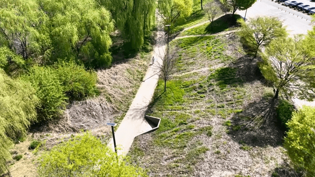 알록달록한 나무가 있는 강변길