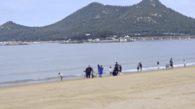 People enjoying a day at the beach