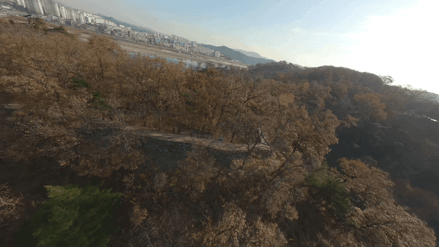 나무로 둘러싸인 도심 속 성곽