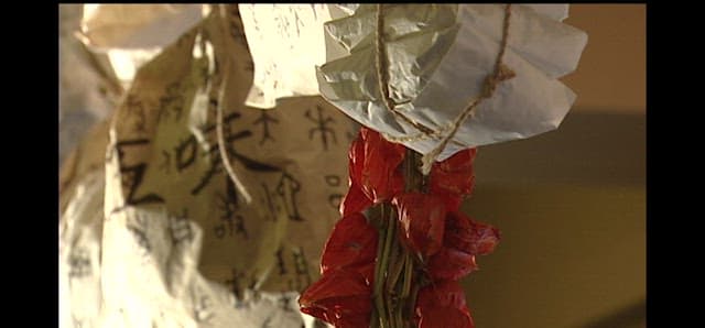 Herbal Medicine Packaged and Hanging from the Ceiling