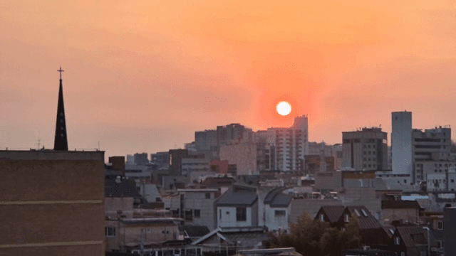 도시 스카이라인 위의 일몰