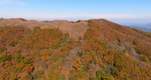 Autumn Colors Blanketing Mountainous Landscape