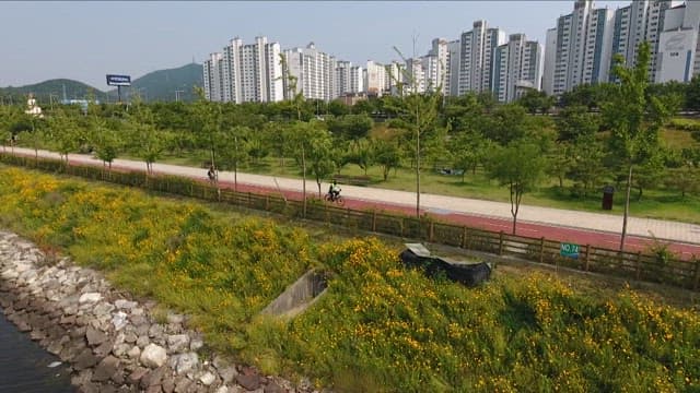 도시 공원에서 자전거 타고 산책하는 사람들