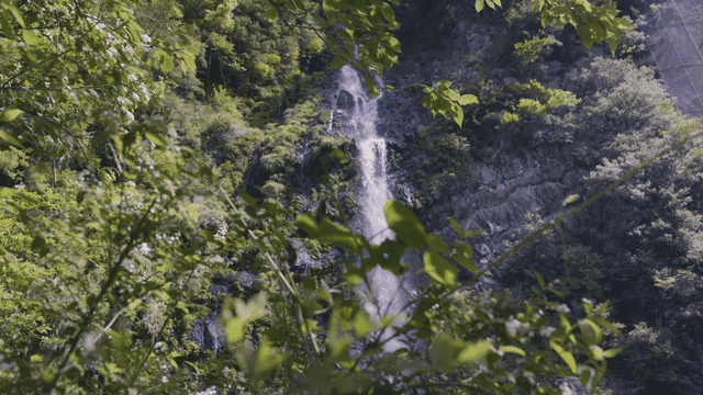 푸른 절벽을 따라 흐르는 폭포