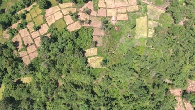 View of lush green farmland