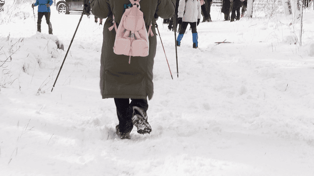 People hiking through snowy forest