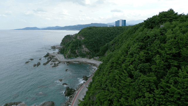 View of green forest and coastal road