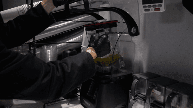Preparing a green smoothie in a blender