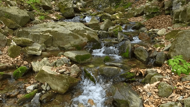 바위 사이로 흐르는 고요한 시냇물