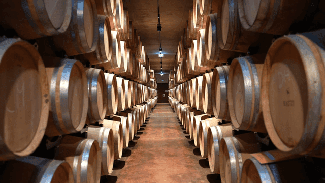 Passageway filled with wooden wine barrels in basement