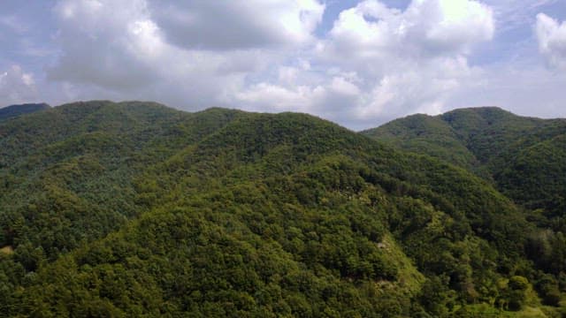 녹음이 우거진 평화로운 산의 경관