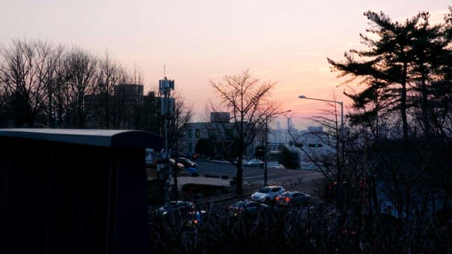 City street at dusk with traffic and trees