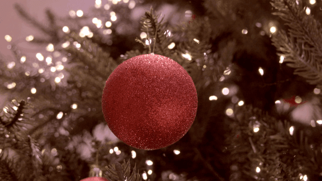 Red ornament on a Christmas tree