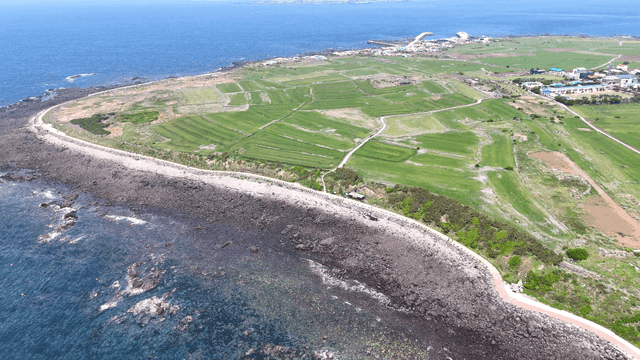 Coastal farmland with ocean view