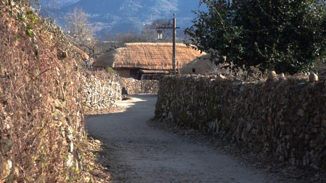 Rustic thatched-roof village road in the countryside bathed in sunlight