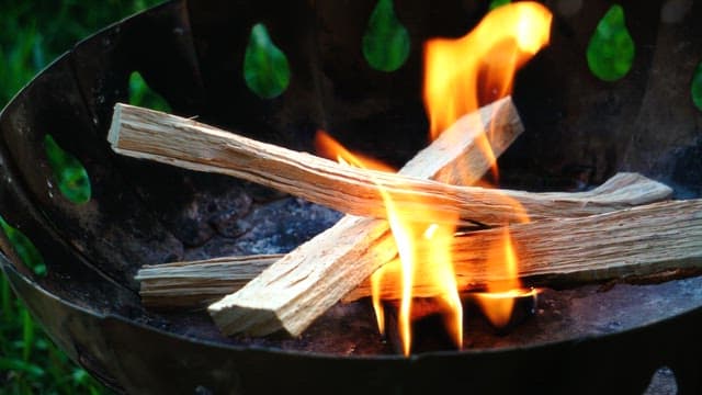 Roaring firewood in a brazier on the grass