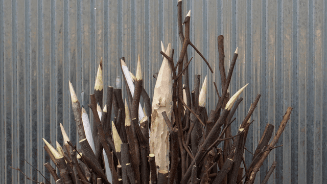 뾰족하게 깎인 나무 조각품들이 담긴 금속 바구니