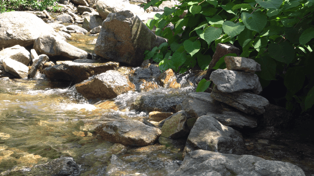 바위 위로 흐르는 고요한 시냇물