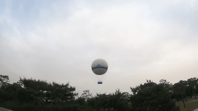Hot air balloon rising over trees
