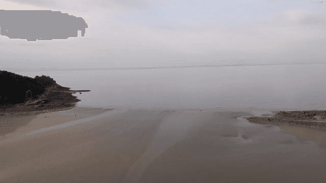 A serene beach with a vast horizon