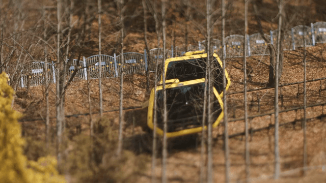 숲을 지나가는 노란 모노레일