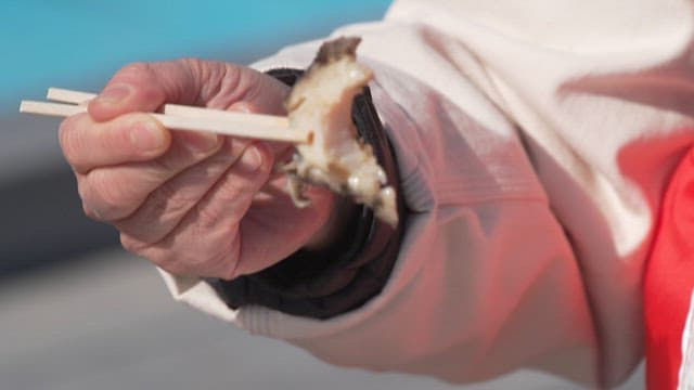 People eating freshly caught and prepared abalone raw abalone