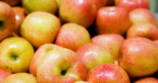 깨끗하게 세척되어 물기가 남아 있는 신선한 사과