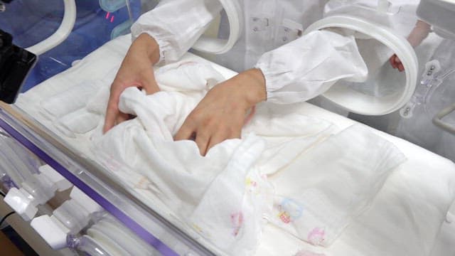 Veterinarian cares for a newborn panda cub