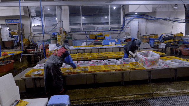 Workers sorting seafood in a fish market