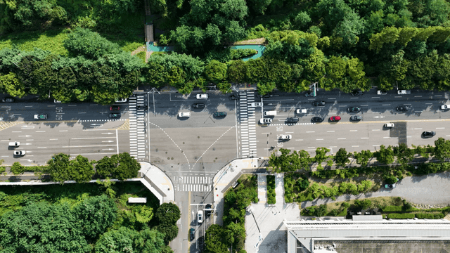 Bustling intersection surrounded by trees