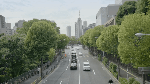 나무가 늘어선 번화한 도시 거리