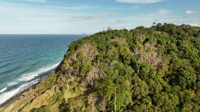 Coastal Aerial View with Lush Greenery and Costal Town